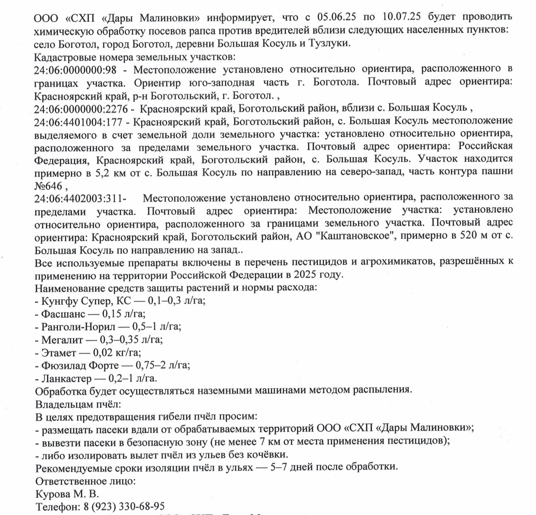 Химическая обработка посевов рапса.